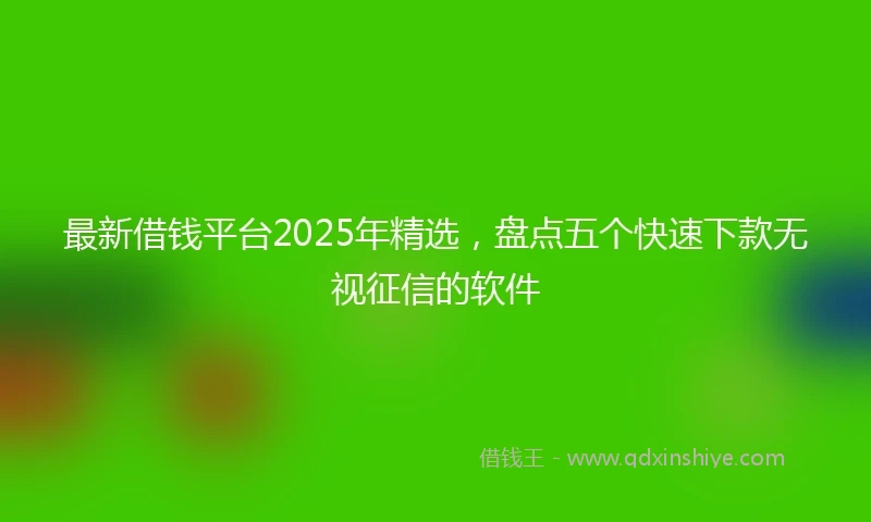最新借钱平台2025年精选，盘点五个快速下款无视征信的软件
