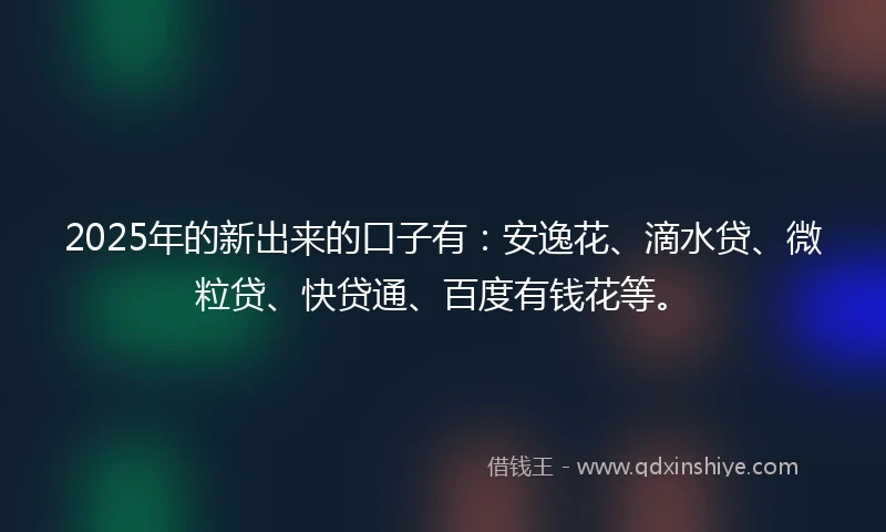 2025年的新出来的口子有：安逸花、滴水贷、微粒贷、快贷通、百度有钱花等。