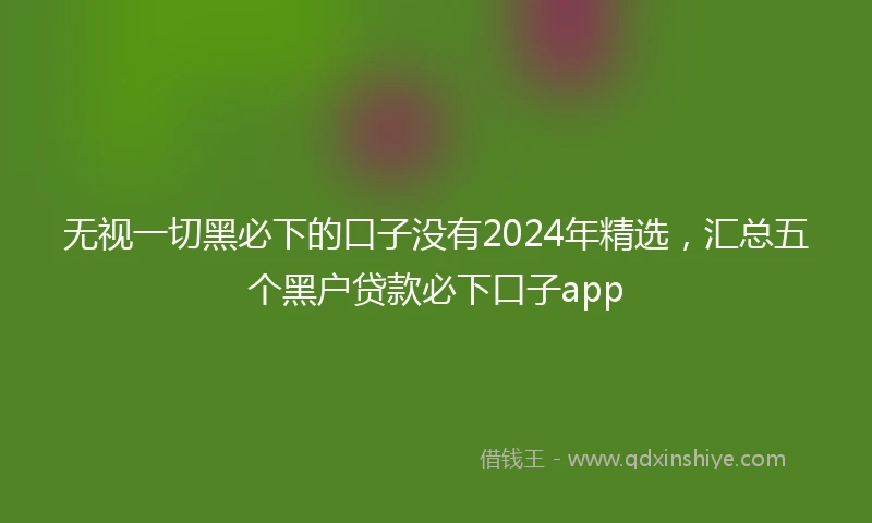 无视一切黑必下的口子没有2024年精选，汇总五个黑户贷款必下口子app