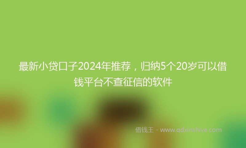 最新小贷口子2024年推荐，归纳5个20岁可以借钱平台不查征信的软件