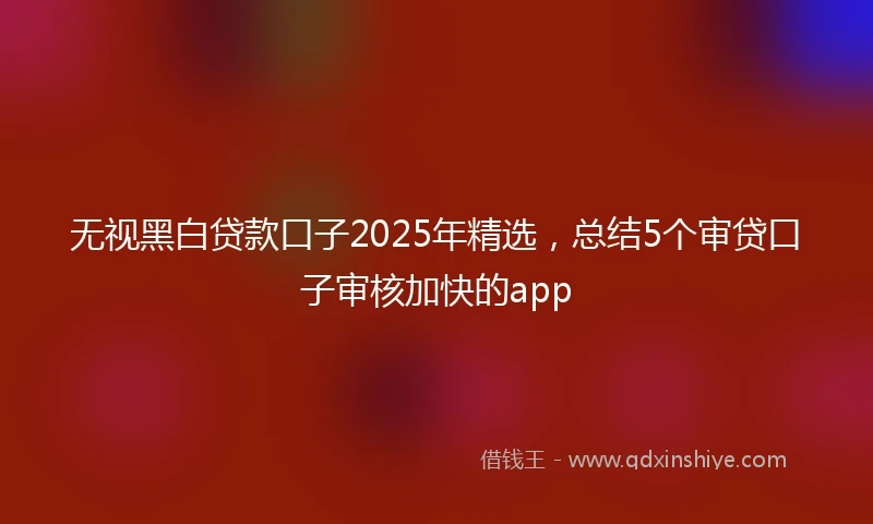 无视黑白贷款口子2025年精选，总结5个审贷口子审核加快的app