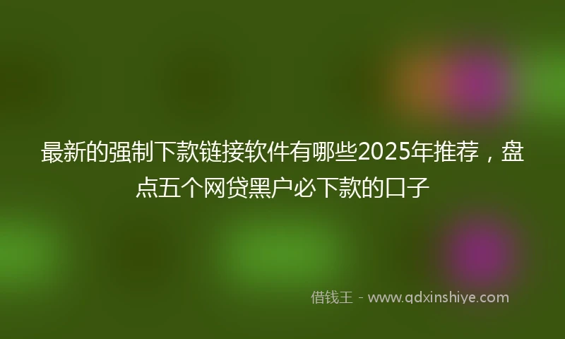 最新的强制下款链接软件有哪些2025年推荐，盘点五个网贷黑户必下款的口子