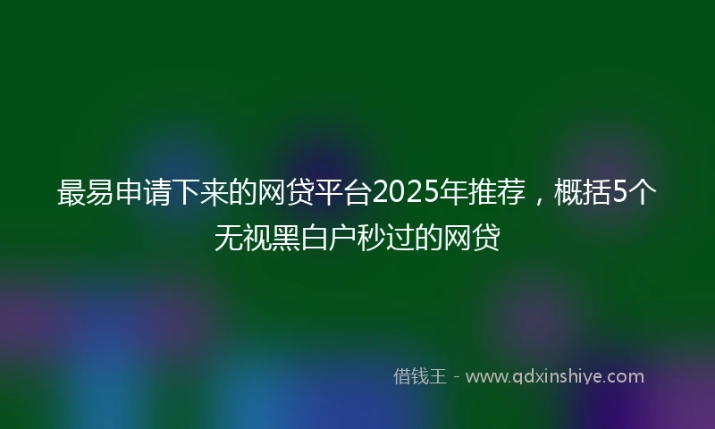 最易申请下来的网贷平台2025年推荐，概括5个无视黑白户秒过的网贷