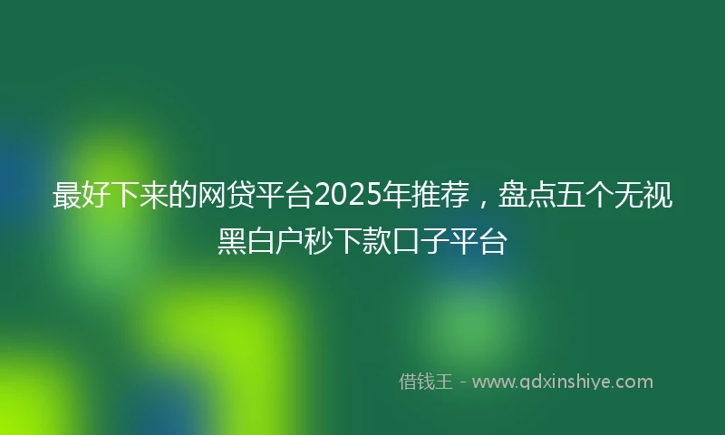 最好下来的网贷平台2025年推荐，盘点五个无视黑白户秒下款口子平台