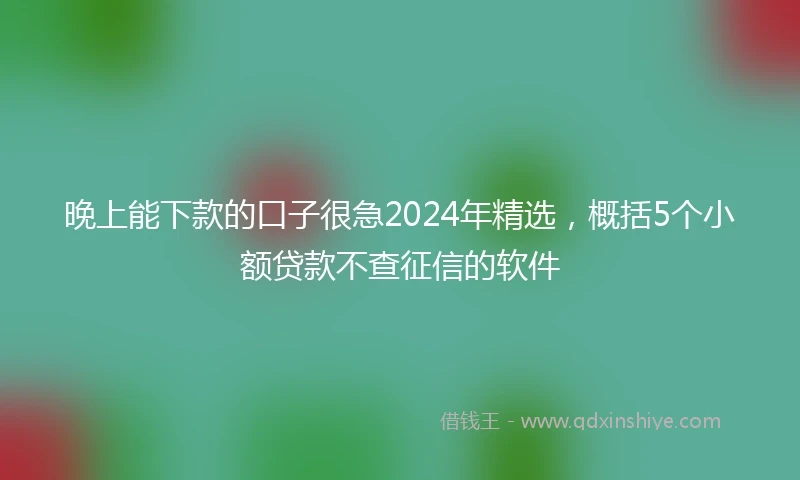 晚上能下款的口子很急2024年精选，概括5个小额贷款不查征信的软件