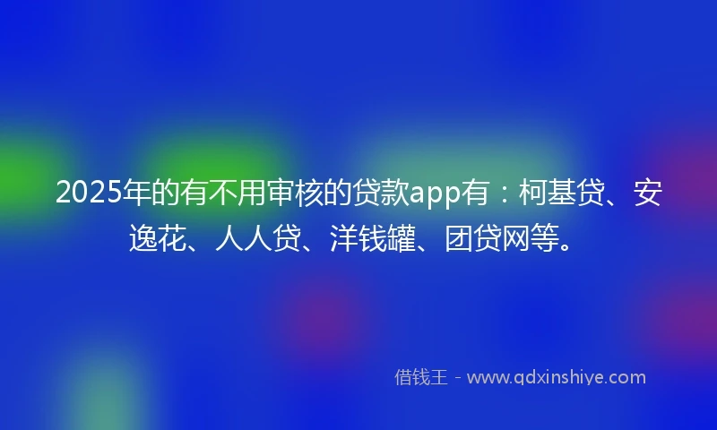 2025年的有不用审核的贷款app有：柯基贷、安逸花、人人贷、洋钱罐、团贷网等。