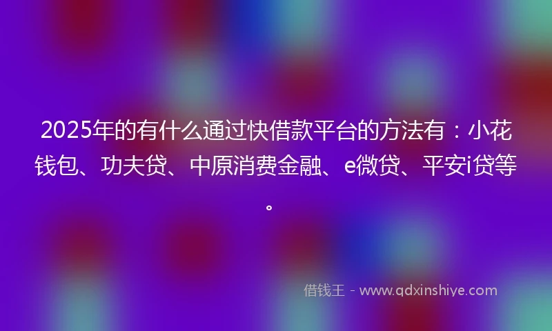 2025年的有什么通过快借款平台的方法有:小花钱包、功夫贷、中原消费金融、e微贷、平安i贷等。
