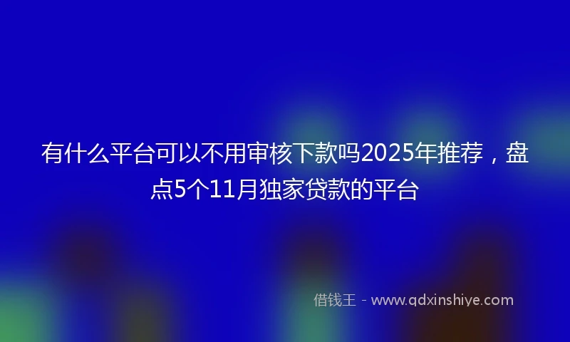有什么平台可以不用审核下款吗2025年推荐，盘点5个11月独家贷款的平台