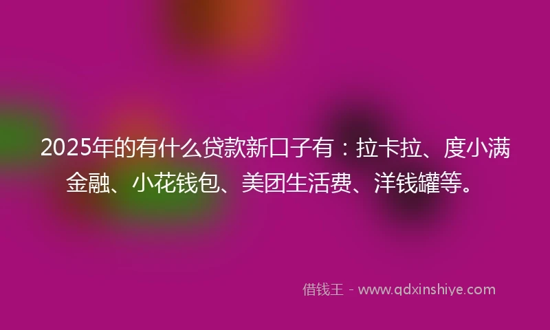 2025年的有什么贷款新口子有：拉卡拉、度小满金融、小花钱包、美团生活费、洋钱罐等。