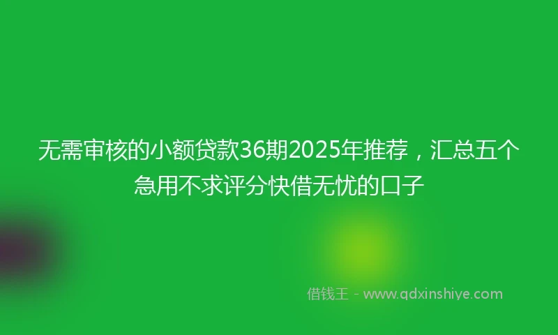 无需审核的小额贷款36期2025年推荐，汇总五个急用不求评分快借无忧的口子