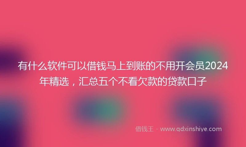有什么软件可以借钱马上到账的不用开会员2024年精选，汇总五个不看欠款的贷款口子