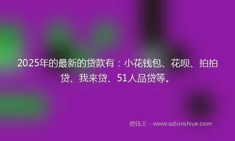 2025年的最新的贷款有：小花钱包、花呗、拍拍贷、我来贷、51人品贷等。