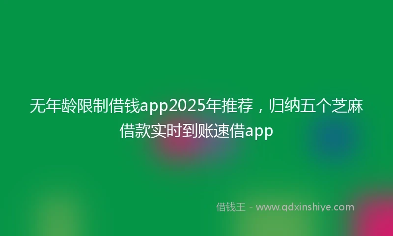 无年龄限制借钱app2025年推荐，归纳五个芝麻借款实时到账速借app