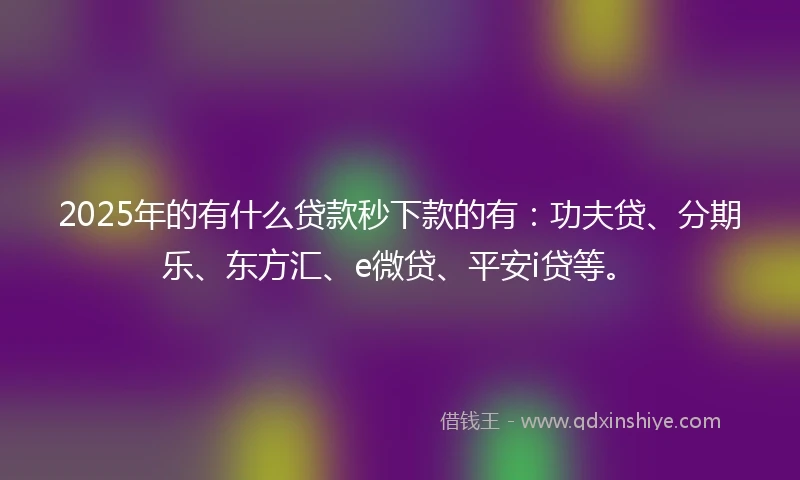 2025年的有什么贷款秒下款的有：功夫贷、分期乐、东方汇、e微贷、平安i贷等。