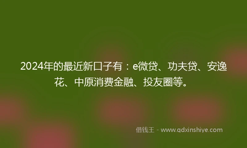 2024年的最近新口子有：e微贷、功夫贷、安逸花、中原消费金融、投友圈等。