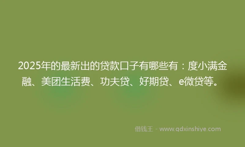 2025年的最新出的贷款口子有哪些有：度小满金融、美团生活费、功夫贷、好期贷、e微贷等。