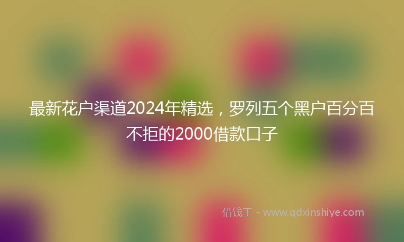 最新花户渠道2024年精选，罗列五个黑户百分百不拒的2000借款口子