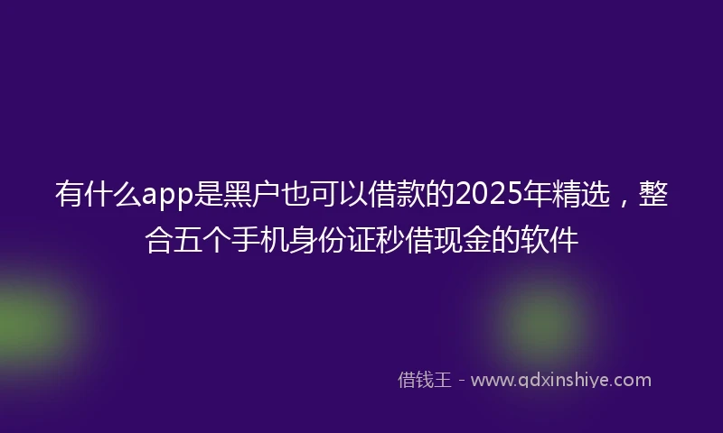 有什么app是黑户也可以借款的2025年精选,整合五个手机身份证秒借现金的软件