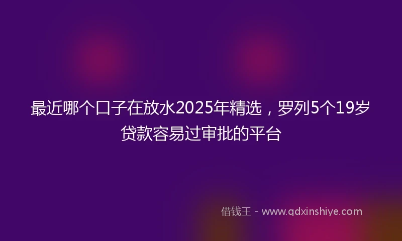 最近哪个口子在放水2025年精选，罗列5个19岁贷款容易过审批的平台