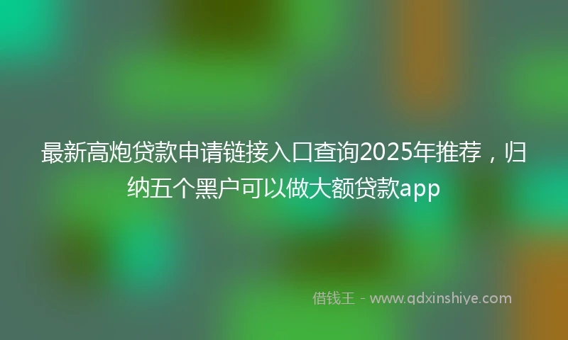 最新高炮贷款申请链接入口查询2025年推荐，归纳五个黑户可以做大额贷款app