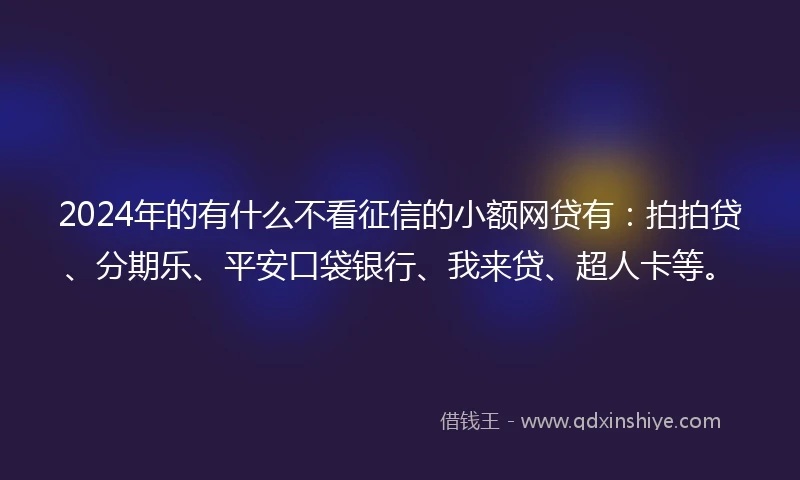 2024年的有什么不看征信的小额网贷有：拍拍贷、分期乐、平安口袋银行、我来贷、超人卡等。