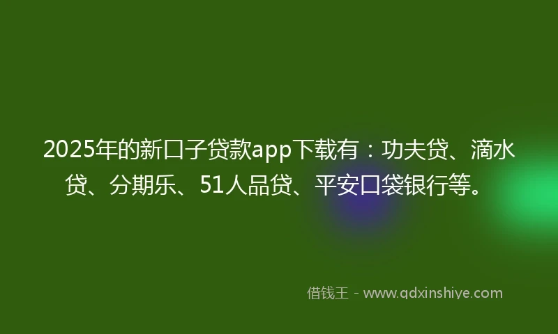 2025年的新口子贷款app下载有：功夫贷、滴水贷、分期乐、51人品贷、平安口袋银行等。
