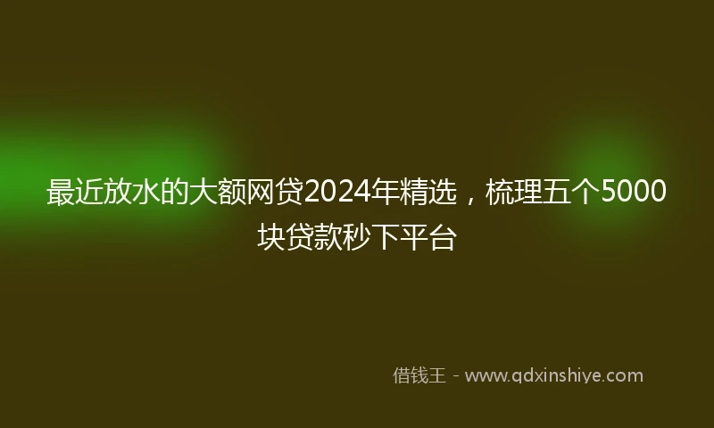 最近放水的大额网贷2024年精选，梳理五个5000块贷款秒下平台