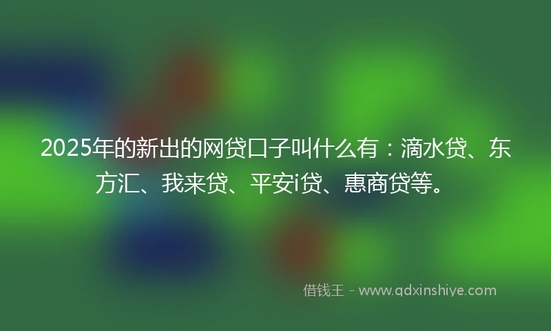 2025年的新出的网贷口子叫什么有：滴水贷、东方汇、我来贷、平安i贷、惠商贷等。