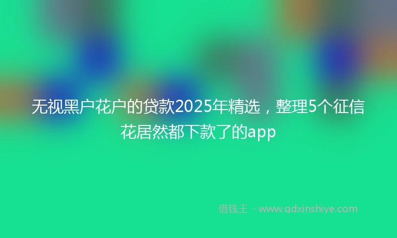 无视黑户花户的贷款2025年精选，整理5个征信花居然都下款了的app