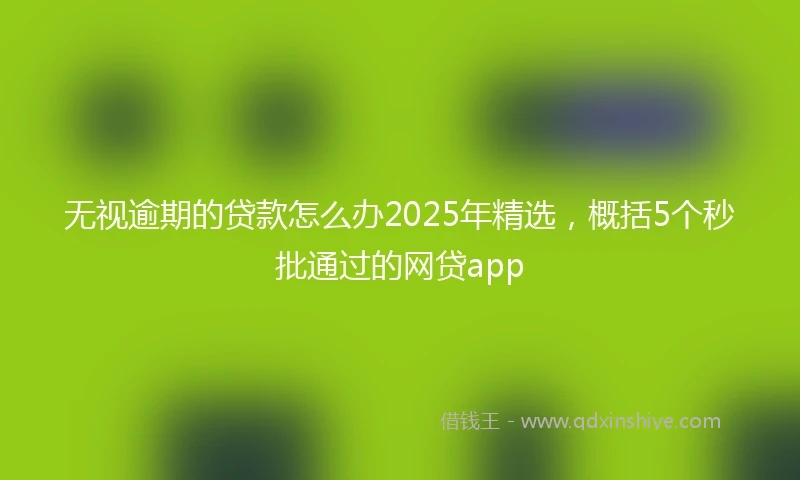 无视逾期的贷款怎么办2025年精选，概括5个秒批通过的网贷app