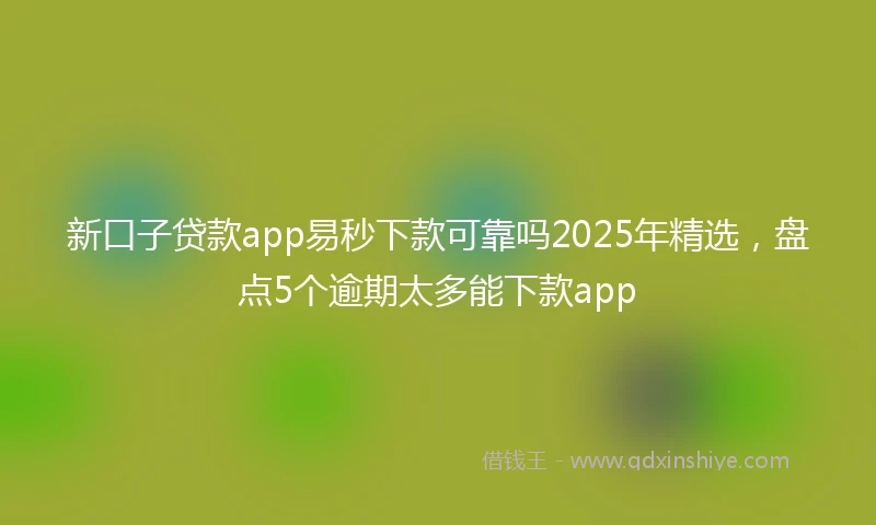 新口子贷款app易秒下款可靠吗2025年精选，盘点5个逾期太多能下款app