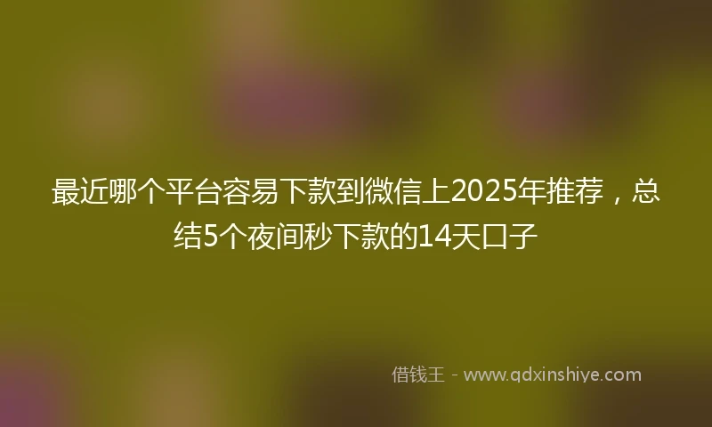 最近哪个平台容易下款到微信上2025年推荐，总结5个夜间秒下款的14天口子