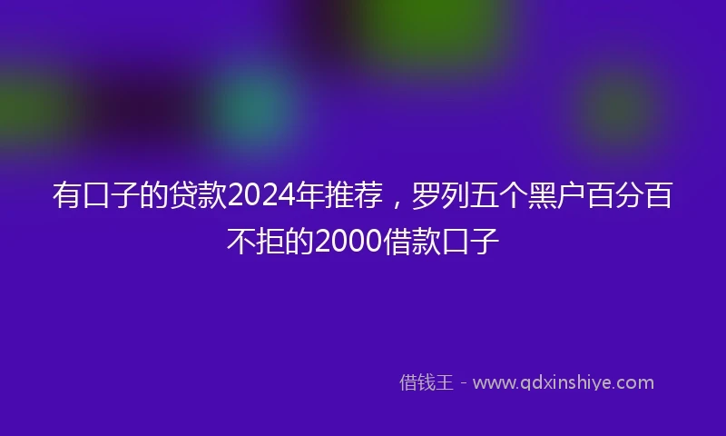 有口子的贷款2024年推荐，罗列五个黑户百分百不拒的2000借款口子