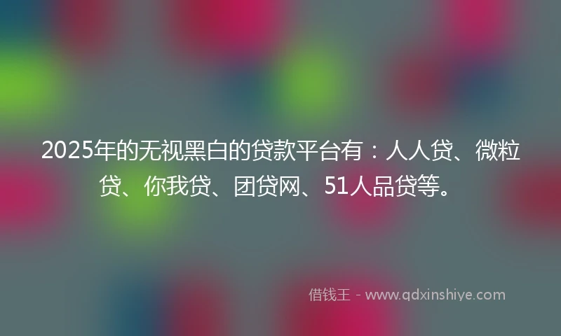 2025年的无视黑白的贷款平台有：人人贷、微粒贷、你我贷、团贷网、51人品贷等。