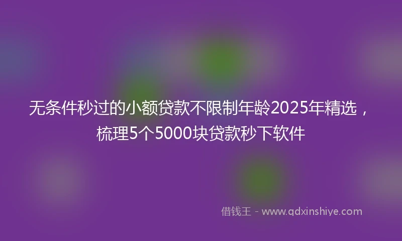 无条件秒过的小额贷款不限制年龄2025年精选，梳理5个5000块贷款秒下软件