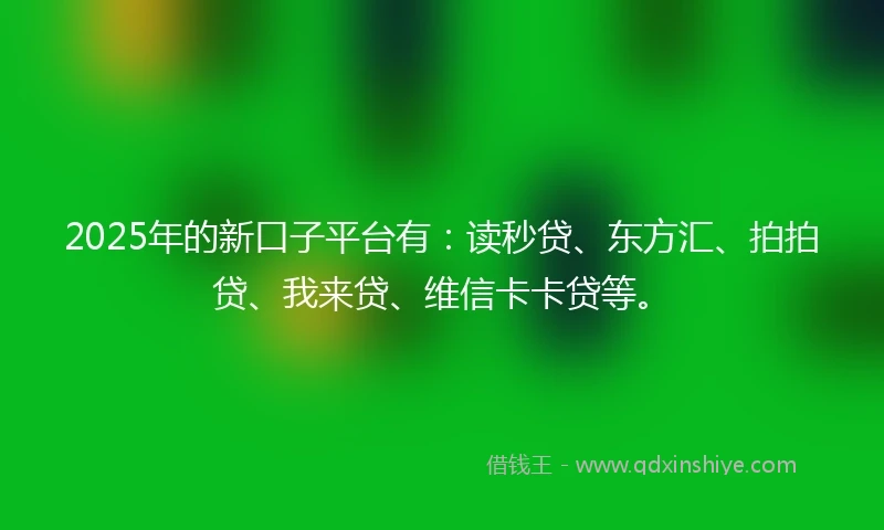 2025年的新口子平台有：读秒贷、东方汇、拍拍贷、我来贷、维信卡卡贷等。