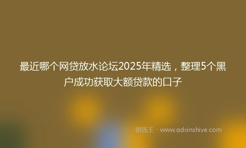 最近哪个网贷放水论坛2025年精选，整理5个黑户成功获取大额贷款的口子