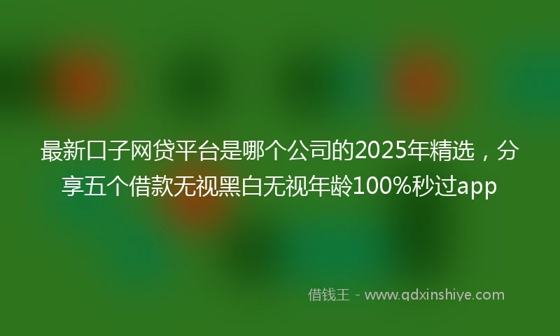 最新口子网贷平台是哪个公司的2025年精选，分享五个借款无视黑白无视年龄100%秒过app