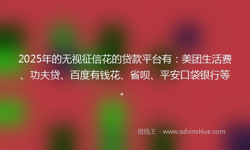 2025年的无视征信花的贷款平台有：美团生活费、功夫贷、百度有钱花、省呗、平安口袋银行等。