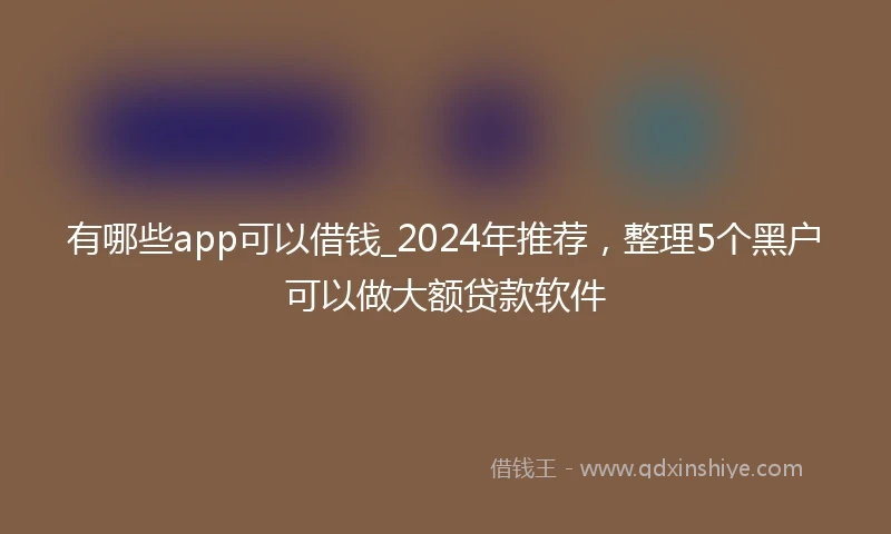 有哪些app可以借钱_2024年推荐，整理5个黑户可以做大额贷款软件