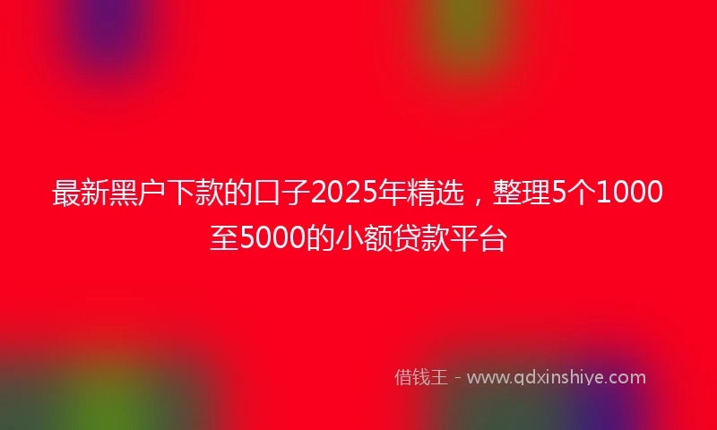 最新黑户下款的口子2025年精选，整理5个1000至5000的小额贷款平台