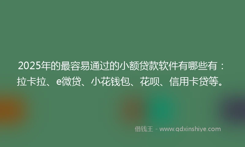 2025年的最容易通过的小额贷款软件有哪些有：拉卡拉、e微贷、小花钱包、花呗、信用卡贷等。