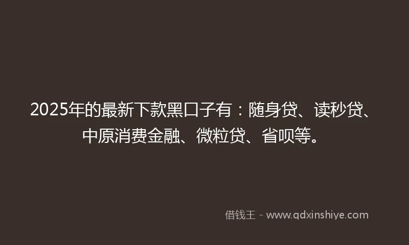 2025年的最新下款黑口子有：随身贷、读秒贷、中原消费金融、微粒贷、省呗等。