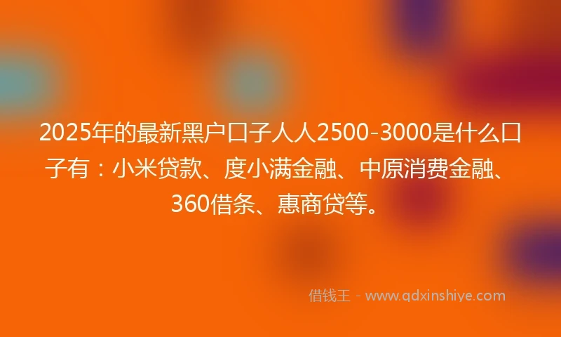 2025年的最新黑户口子人人2500-3000是什么口子有：小米贷款、度小满金融、中原消费金融、360借条、惠商贷等。