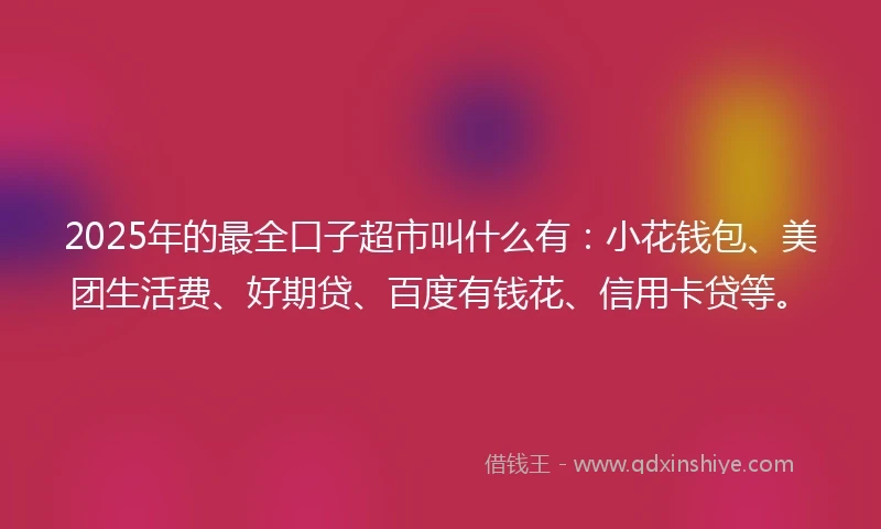 2025年的最全口子超市叫什么有：小花钱包、美团生活费、好期贷、百度有钱花、信用卡贷等。