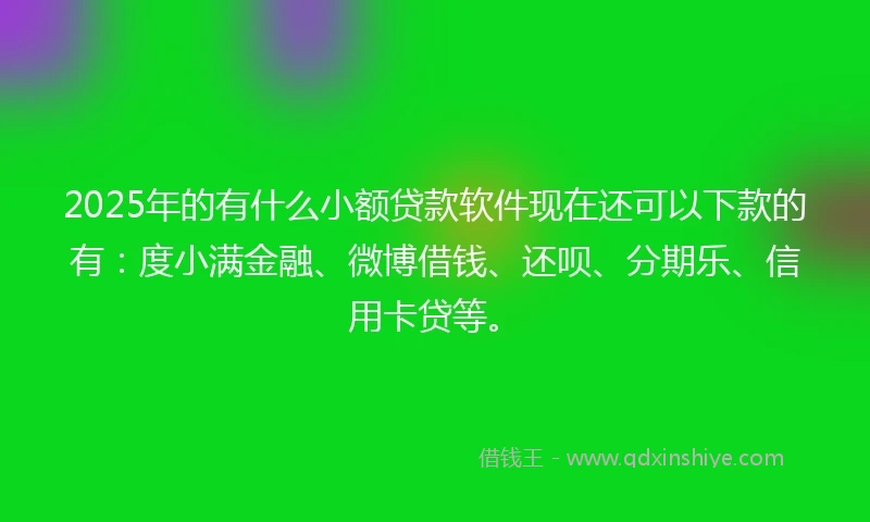 2025年的有什么小额贷款软件现在还可以下款的有：度小满金融、微博借钱、还呗、分期乐、信用卡贷等。
