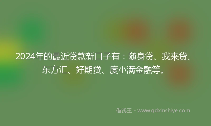 2024年的最近贷款新口子有：随身贷、我来贷、东方汇、好期贷、度小满金融等。