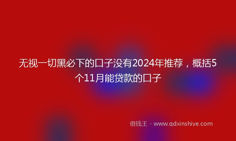 无视一切黑必下的口子没有2024年推荐，概括5个11月能贷款的口子
