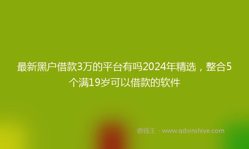 最新黑户借款3万的平台有吗2024年精选，整合5个满19岁可以借款的软件