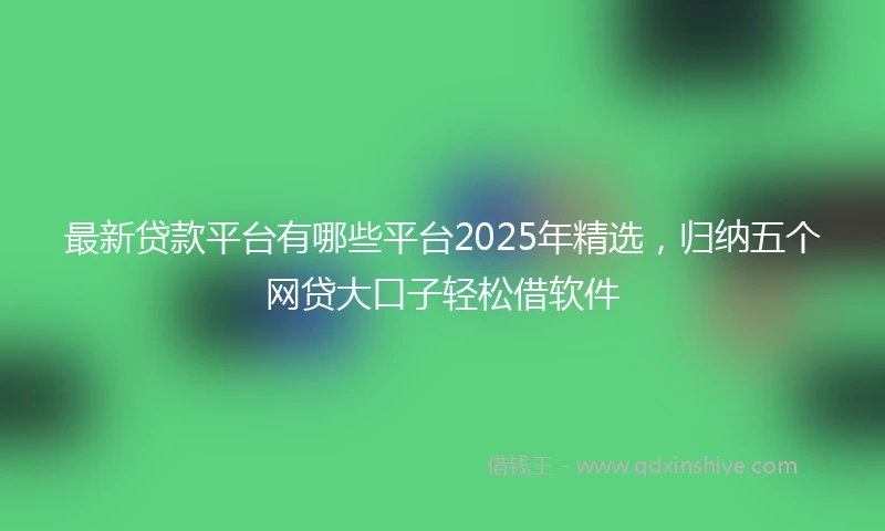 最新贷款平台有哪些平台2025年精选，归纳五个网贷大口子轻松借软件